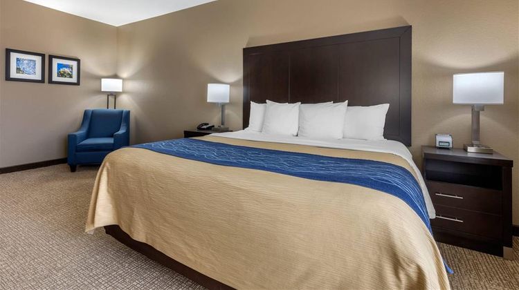 Comfort Inn & Suites Room