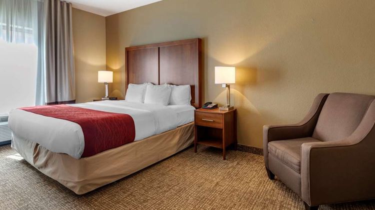 Comfort Inn & Suites Room