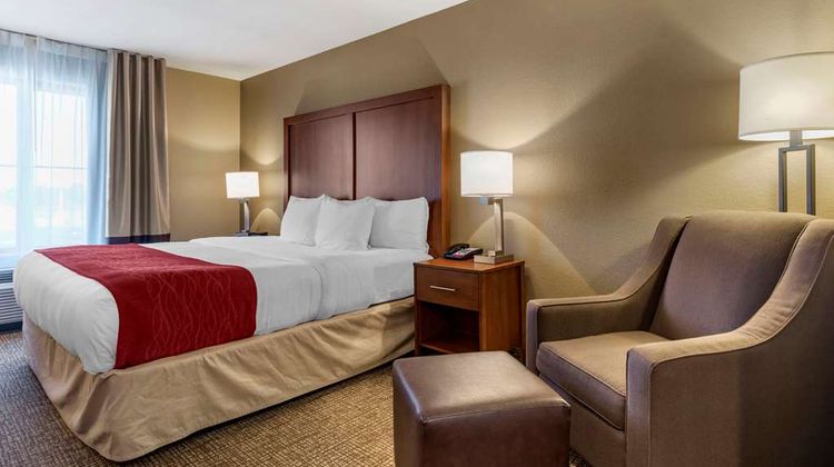 Comfort Inn & Suites Room