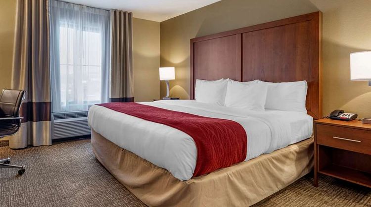 Comfort Inn & Suites Room