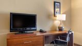 Comfort Inn & Suites Room