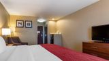 Comfort Inn & Suites Room