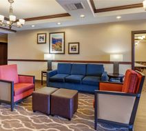 Comfort Inn & Suites Lobby