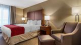Comfort Inn & Suites Room