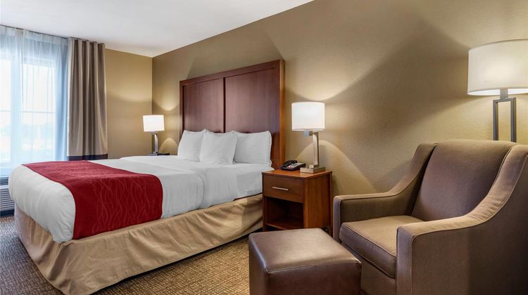 Comfort Inn & Suites Room