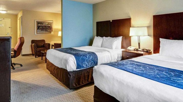 Comfort Suites Suite