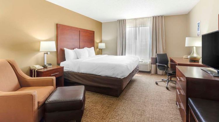 Comfort Inn & Suites Room