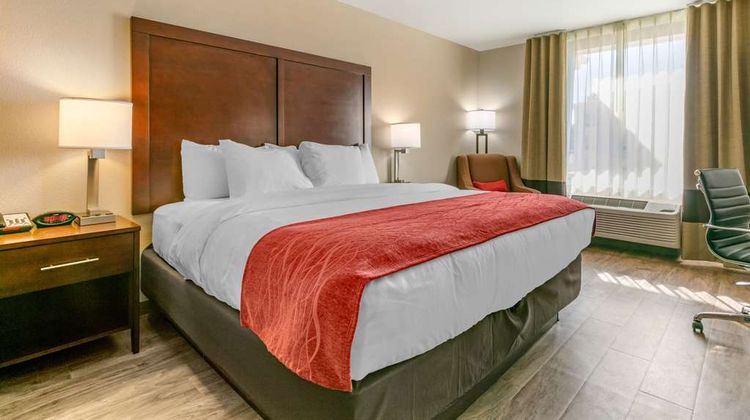 Comfort Inn & Suites Room