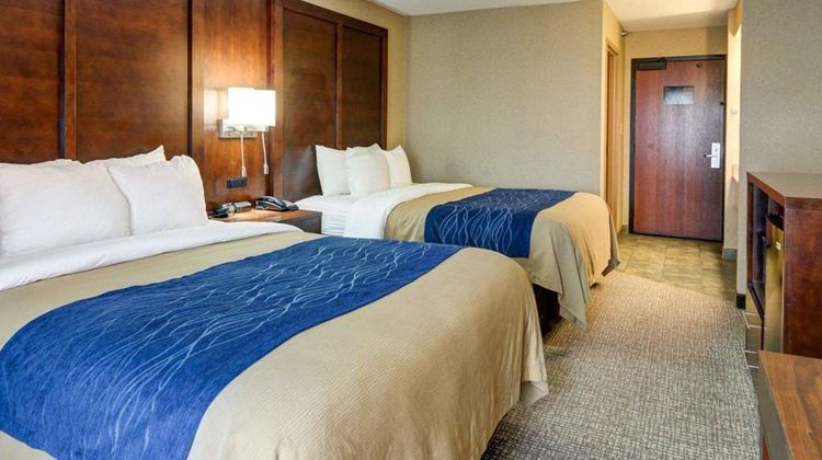 Comfort Inn and Suites Conway Room