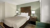 <b>Quality Inn & Stes Room</b>. Images powered by <a href="https://iceportal.shijigroup.com/" title="IcePortal" target="_blank">IcePortal</a>.