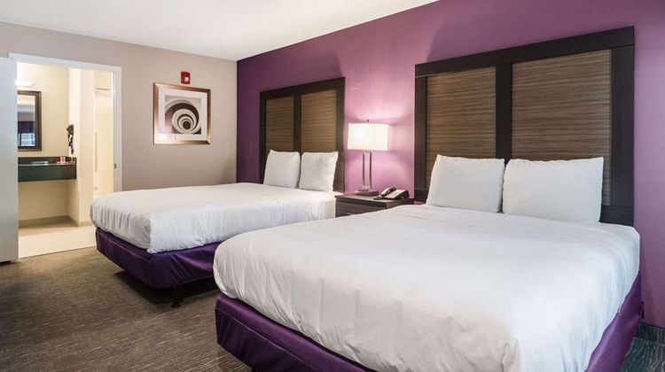 Econo Lodge Inn & Suites Room