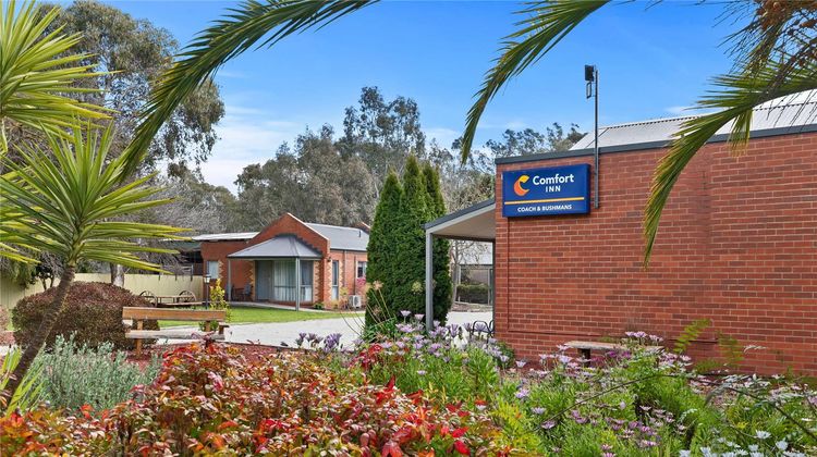 Comfort Inn Coach & Bushmans Exterior