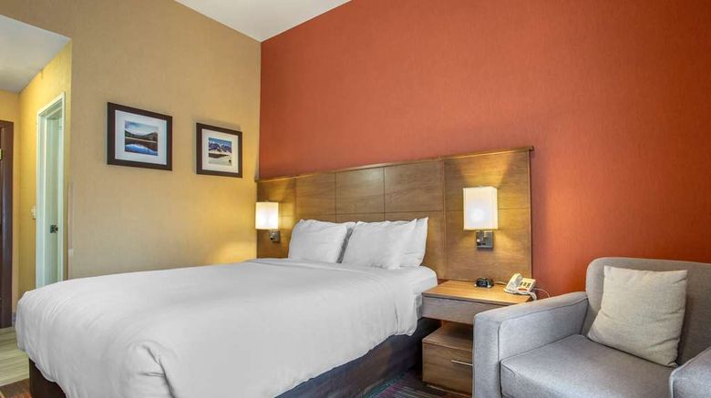 <b>Comfort Inn  Flagstaff Lucky Lane I-40 Room</b>. Images powered by <a href="https://iceportal.shijigroup.com/" title="IcePortal" target="_blank">IcePortal</a>.