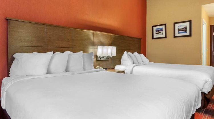 Comfort Inn  Flagstaff Lucky Lane I-40 Room