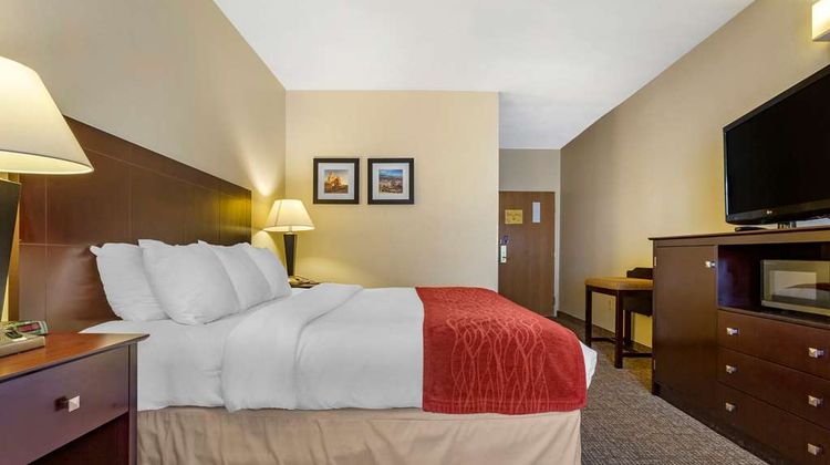 Comfort Inn & Suites Room