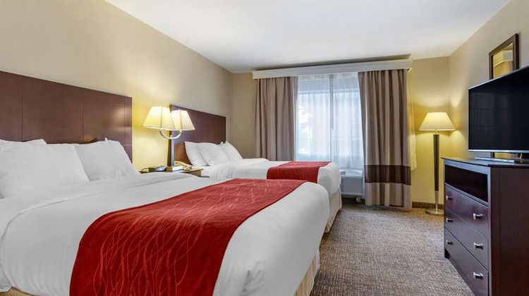 Comfort Inn & Suites Room