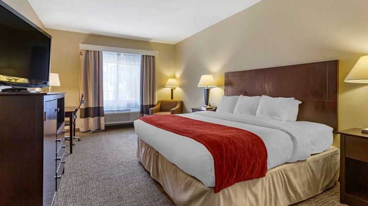 Comfort Inn & Suites Room