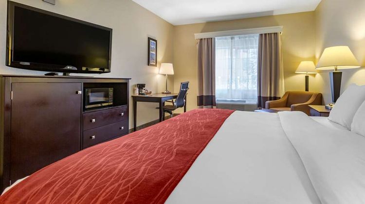Comfort Inn & Suites Room