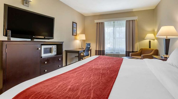 Comfort Inn & Suites Room