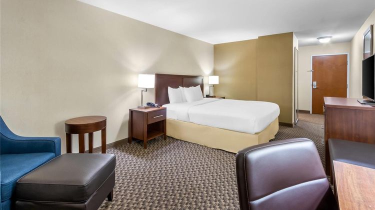 Comfort Inn & Suites Room