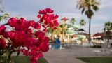 Bluegreen Vacations Cibola Vista Resort Pool