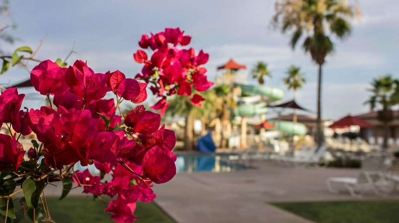 <b>Bluegreen Vacations Cibola Vista Resort Pool</b>. Images powered by <a href="https://iceportal.shijigroup.com/" title="IcePortal" target="_blank">IcePortal</a>.