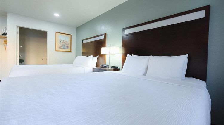 Quality Inn Holbrook-Petrified Forest Room