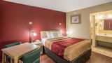 Econo Lodge I-40 Exit 286-Holbrook Room