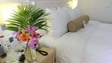 Comfort Suites Londrina Room