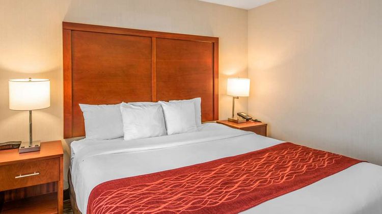 Comfort Inn Suite
