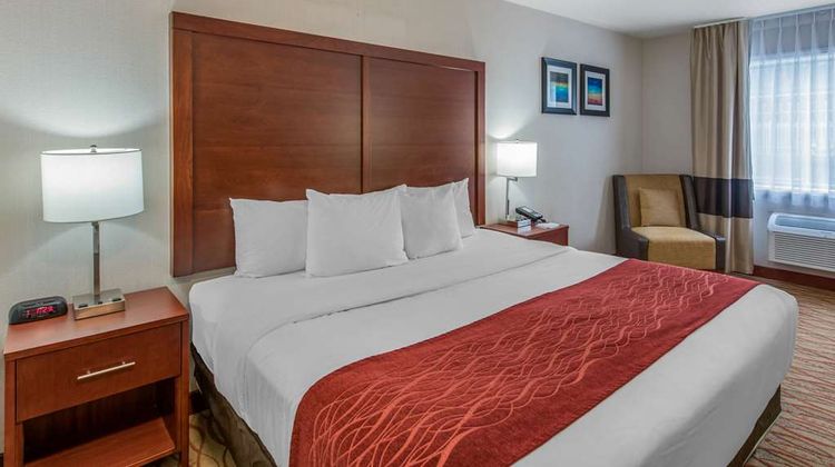 Comfort Inn Room