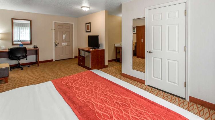 Comfort Inn Room