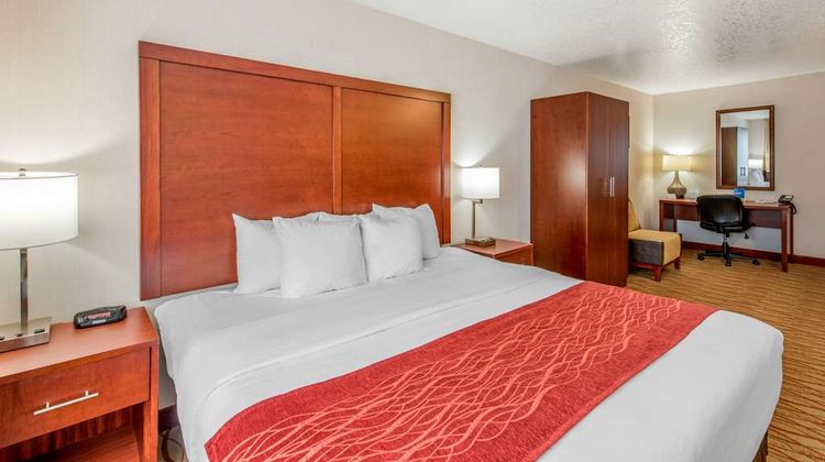 Comfort Inn Room