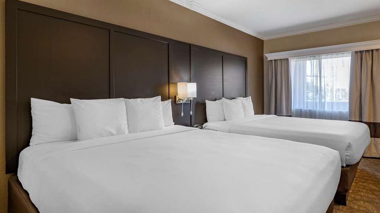 Comfort Inn & Suites Huntington Beach Room