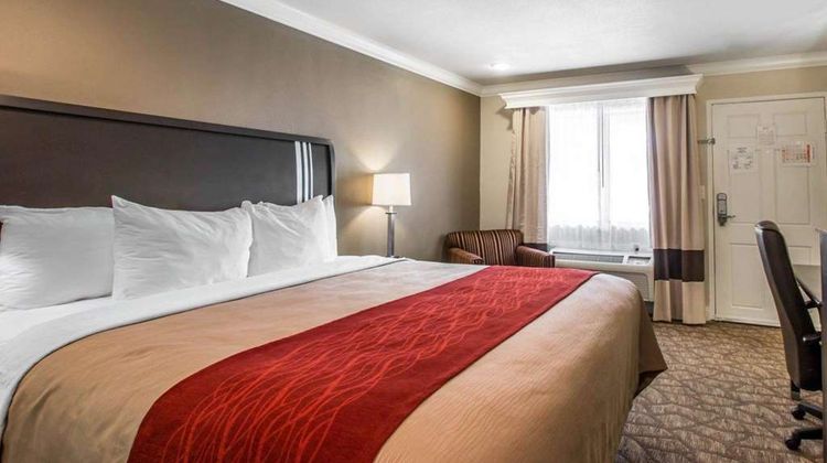 Quality Inn Downey Room