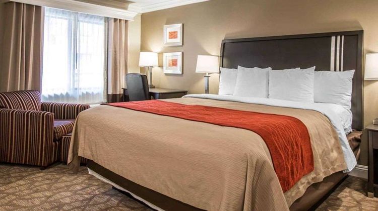 Quality Inn Downey Room