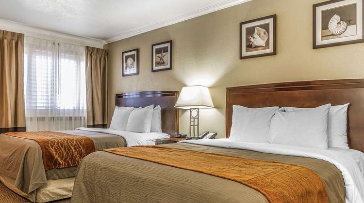 Comfort Inn Room