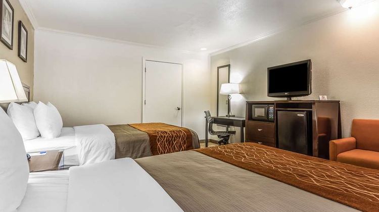 Comfort Inn Room