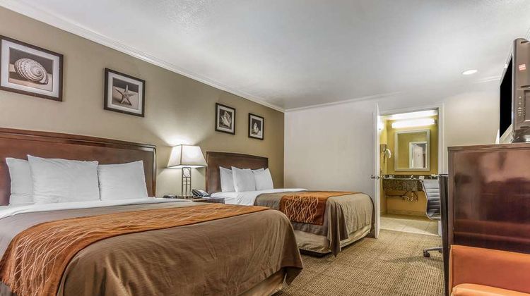 Comfort Inn Room