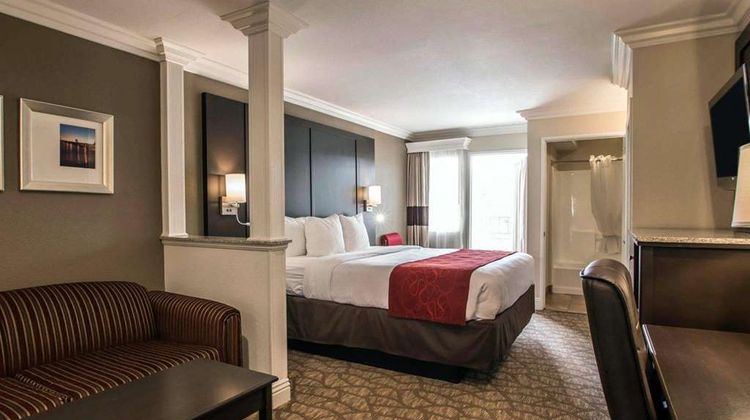 Comfort Suites San Clemente Beach Room