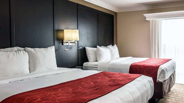 Comfort Suites San Clemente Beach Room