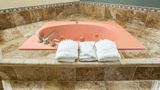 <b>Rodeway Inn Room</b>. Images powered by <a href="https://iceportal.shijigroup.com/" title="IcePortal" target="_blank">IcePortal</a>.