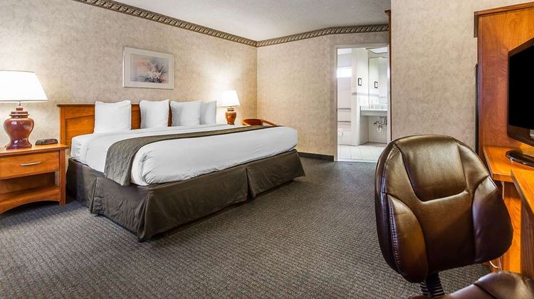 Quality Inn & Suites Silicon Valley Room