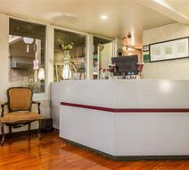 Quality Inn & Suites Silicon Valley Lobby