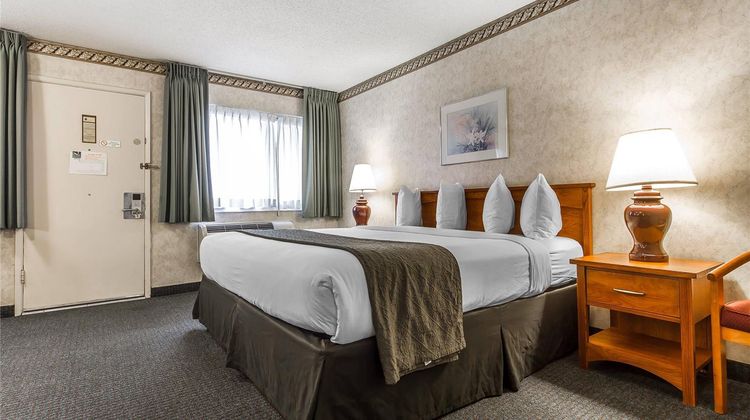 Quality Inn & Suites Silicon Valley Room