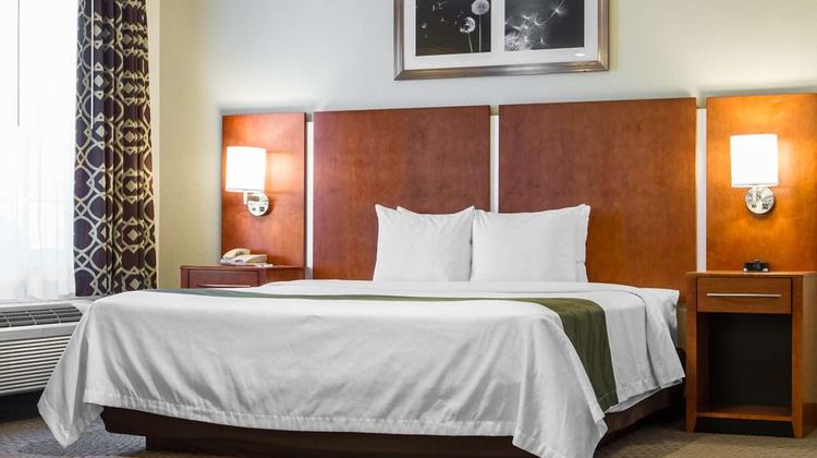 Quality Inn Silicon Valley Room