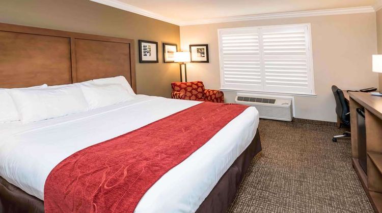 Comfort Suites Room