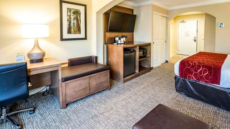 Comfort Suites Suite