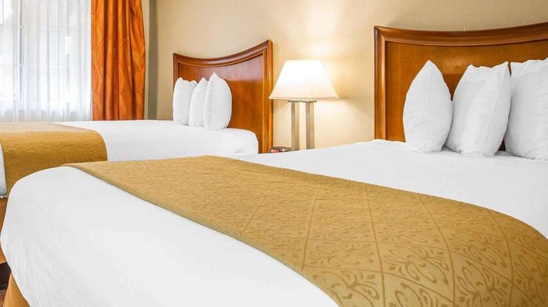 <b>Quality Inn Room</b>. Images powered by <a href="https://iceportal.shijigroup.com/" title="IcePortal" target="_blank">IcePortal</a>.