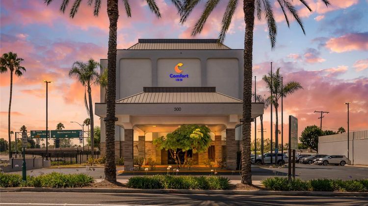Comfort Inn Anaheim  Resort Other
